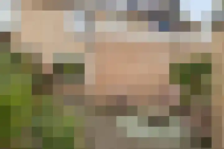 Vicarielaan 10 Heerde thumbnail 28