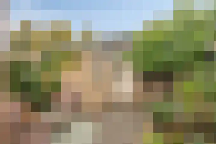 Vicarielaan 10 Heerde thumbnail 29
