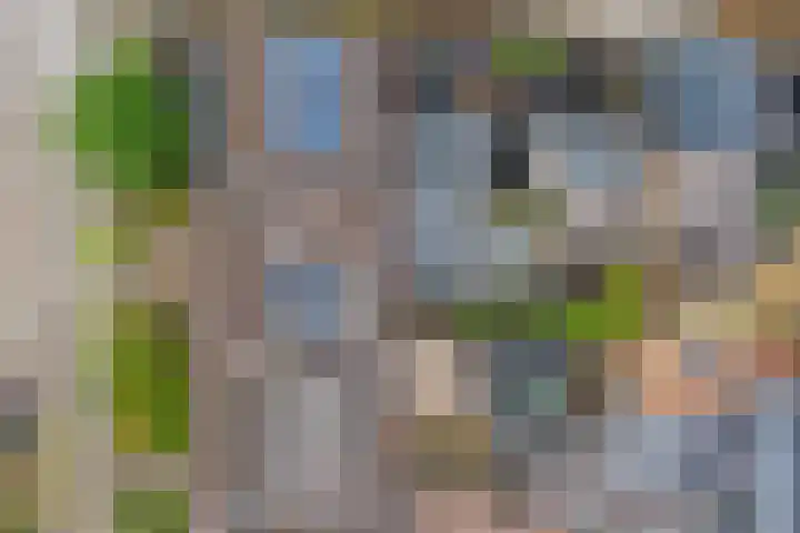 Vicarielaan 10 Heerde thumbnail 30