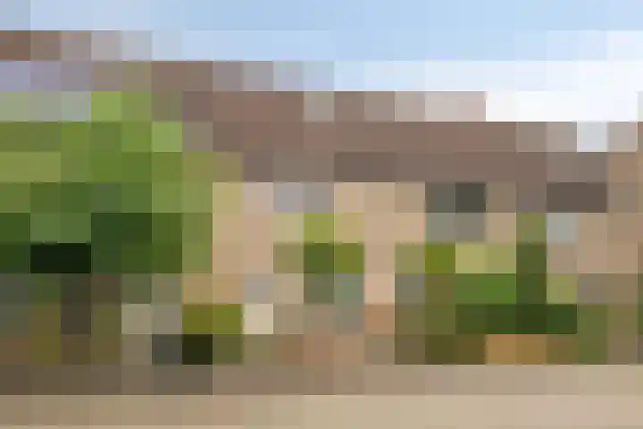Vicarielaan 10 Heerde thumbnail 31