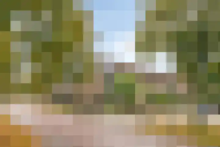 Vicarielaan 10 Heerde thumbnail 32