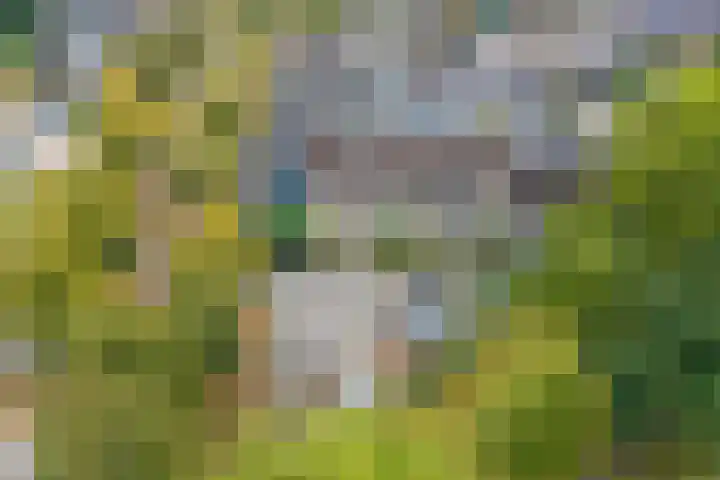 Vicarielaan 10 Heerde thumbnail 33
