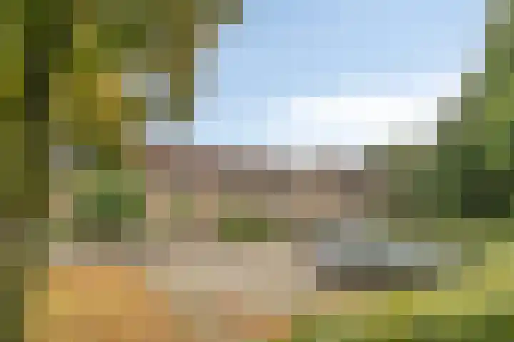 Vicarielaan 10 Heerde thumbnail 4