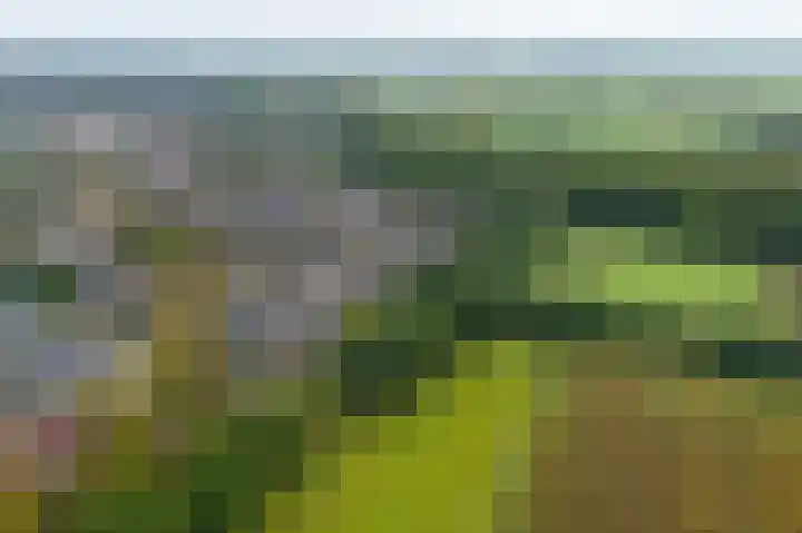 Vicarielaan 10 Heerde thumbnail 5