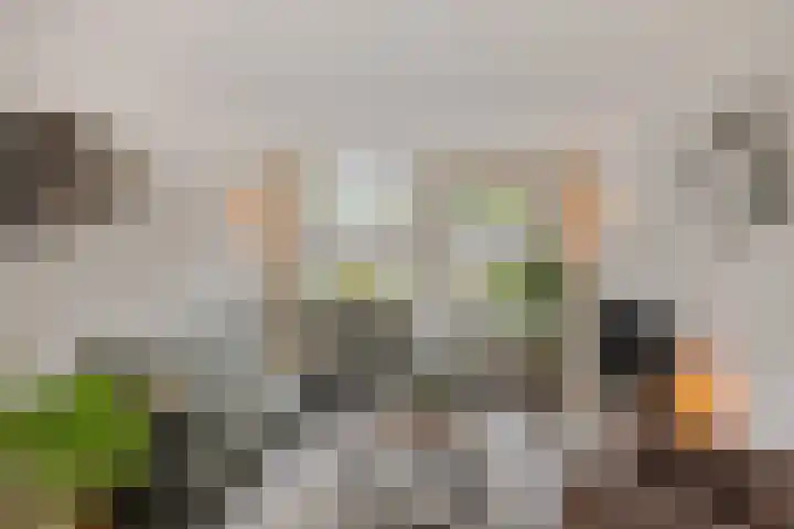 Vicarielaan 10 Heerde thumbnail 8