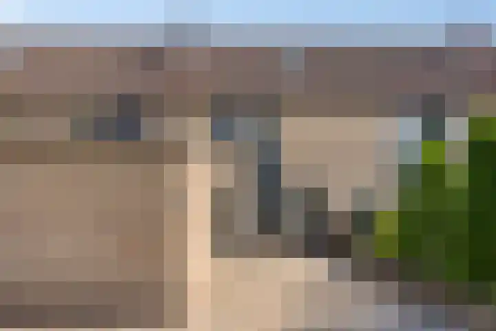Vicarielaan 18 Heerde thumbnail 32