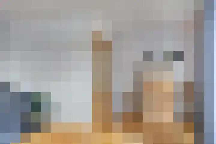 Vicarielaan 18 Heerde thumbnail 6