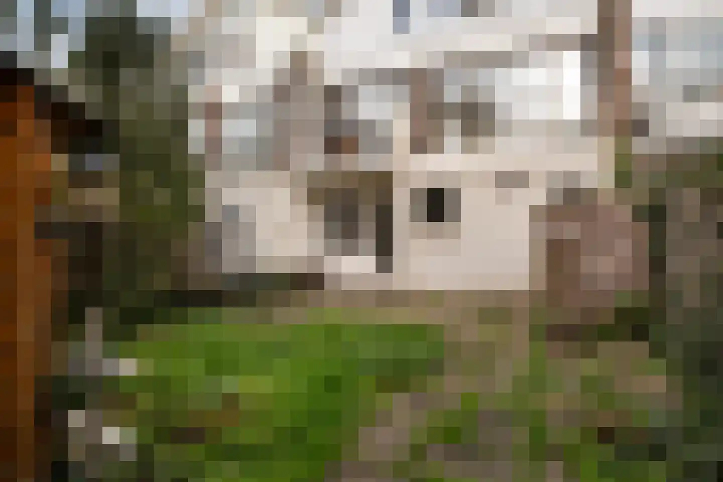 Vicarielaan 51 IJsselstein thumbnail 18