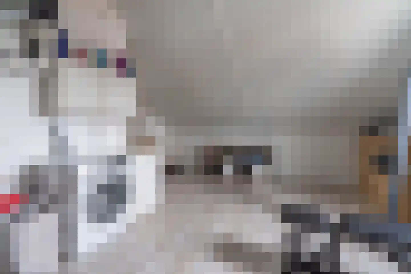 Vicarieweg 78 Leunen thumbnail 34