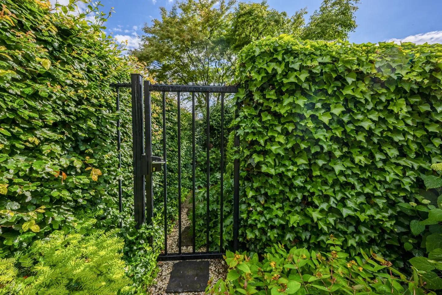 Vicaris Hermansstraat 4 Grave thumbnail 50