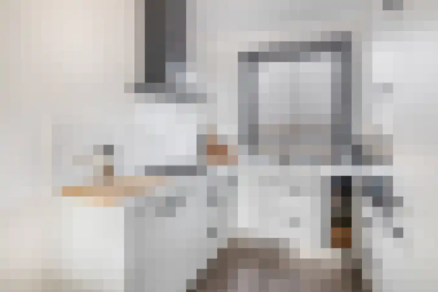 Vicaris van Alphenstraat 8 F Schijndel thumbnail 13