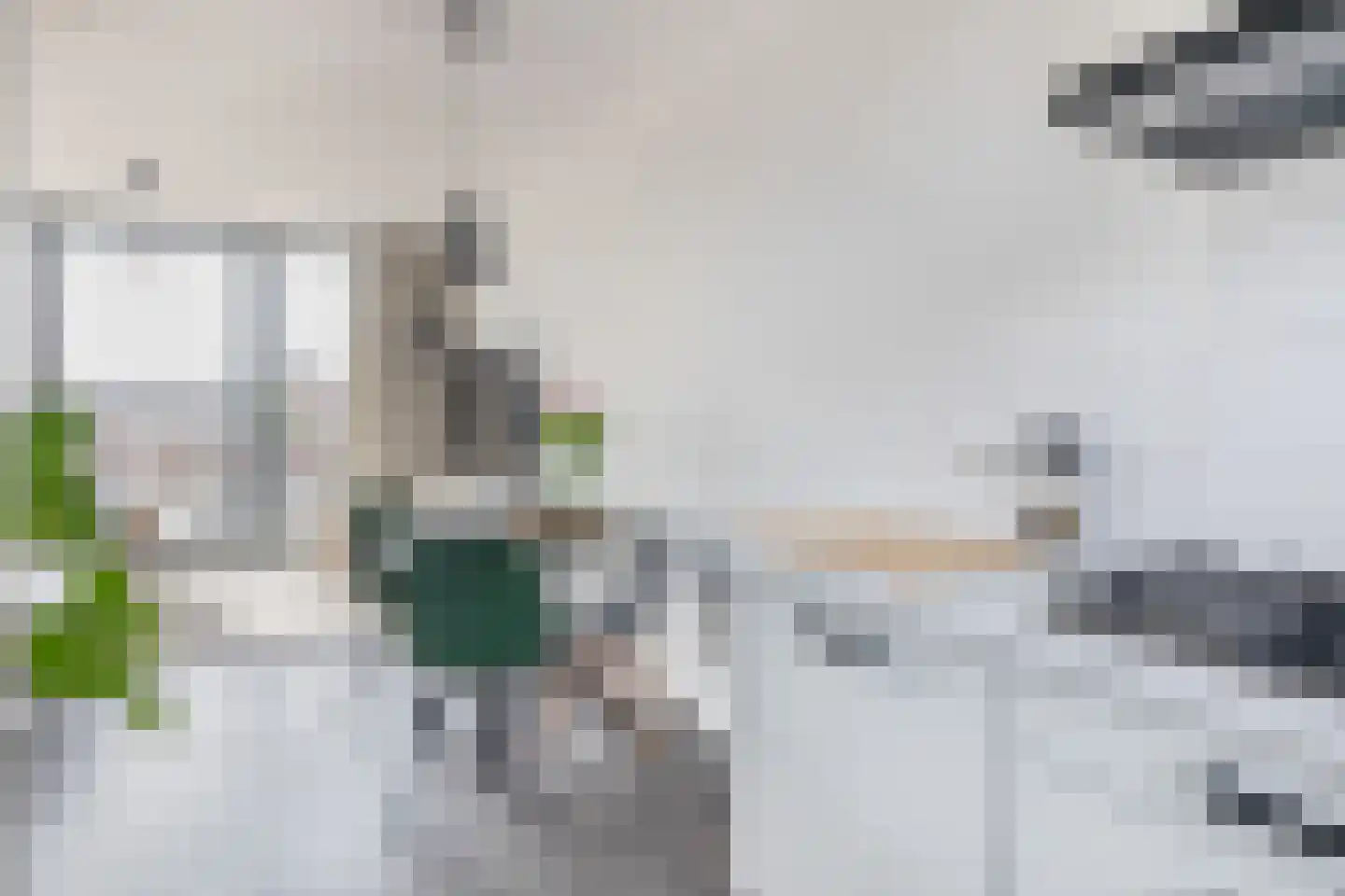 Vicaris van Alphenstraat 8 F Schijndel thumbnail 15