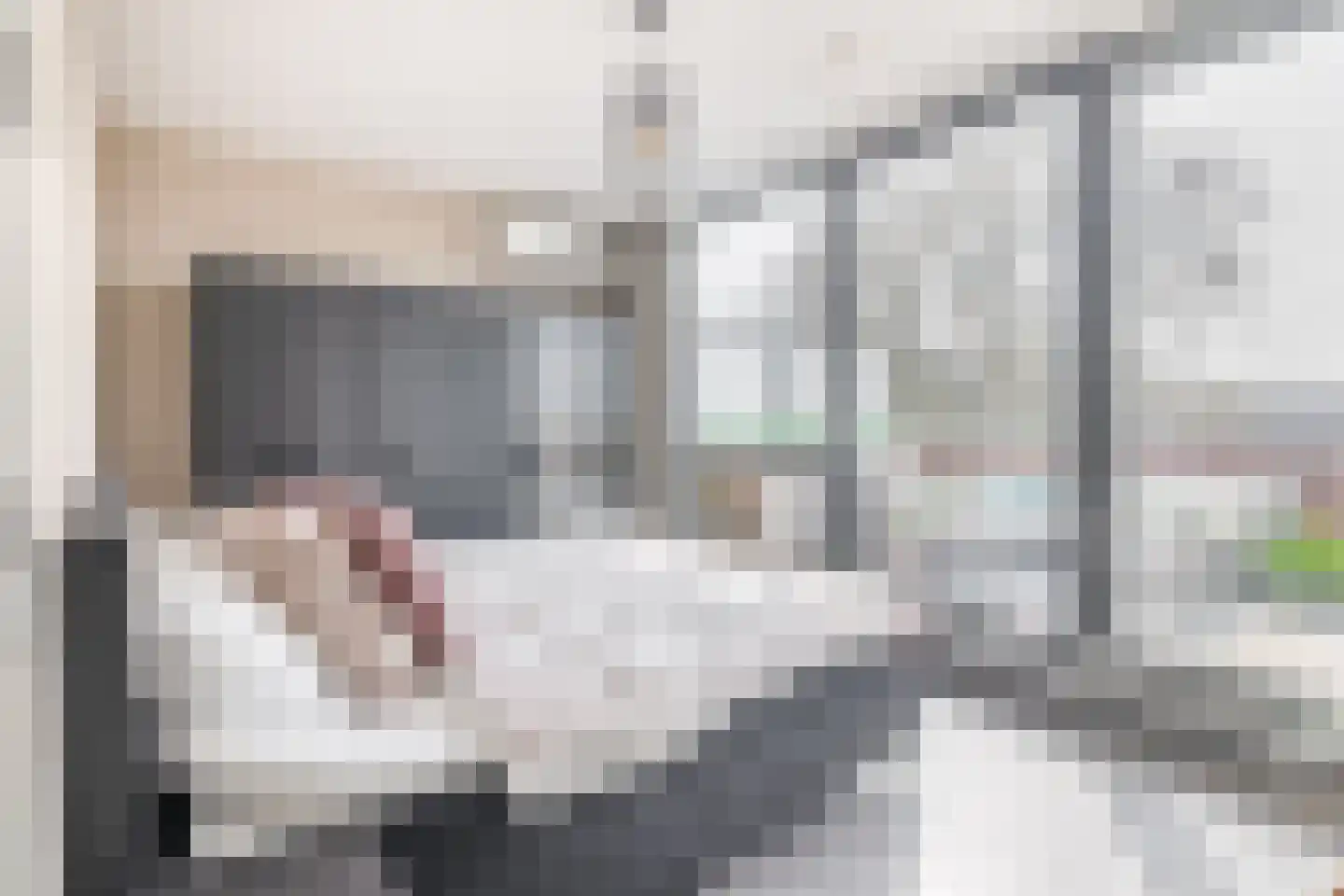 Vicaris van Alphenstraat 8 F Schijndel thumbnail 20