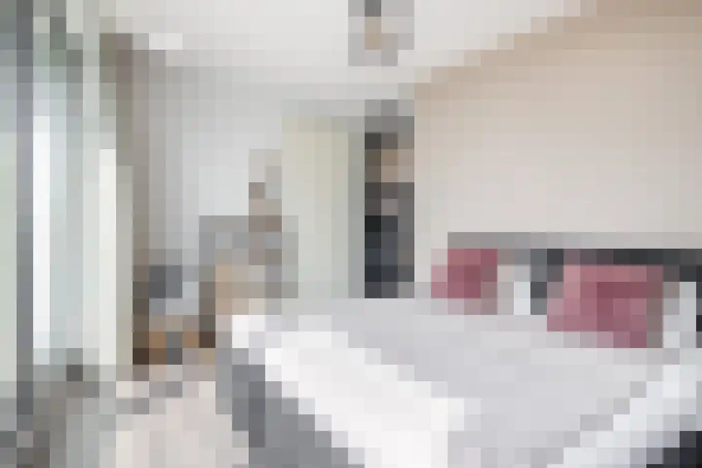 Vicaris van Alphenstraat 8 F Schijndel thumbnail 21