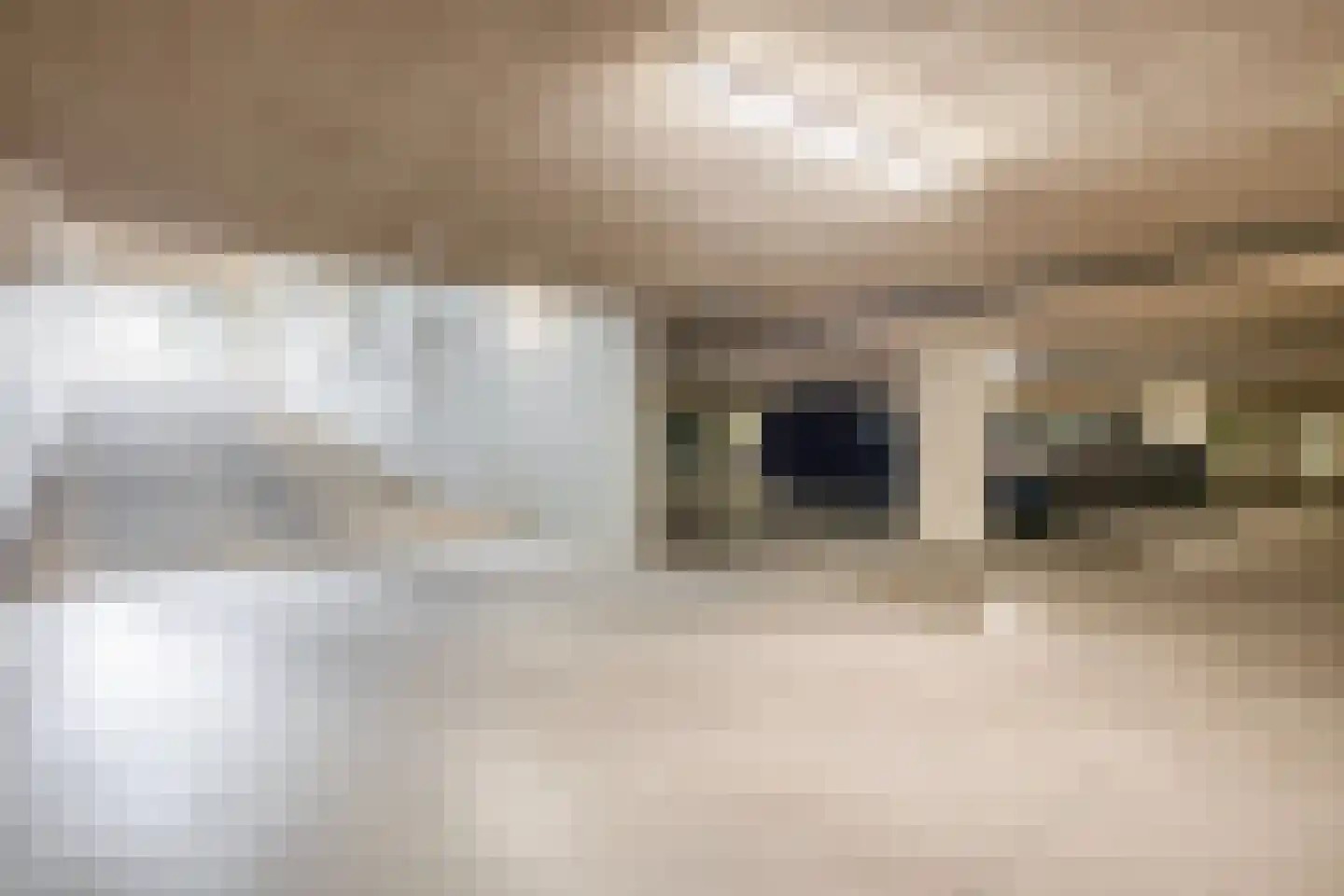 Vicaris van Alphenstraat 8 F Schijndel thumbnail 32