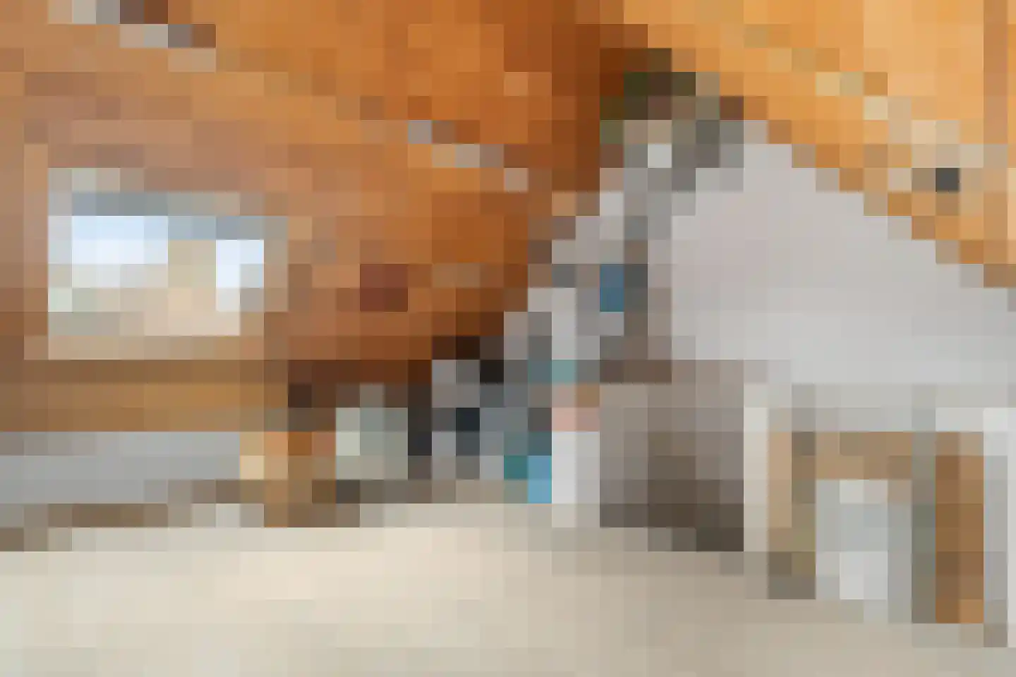 Vicarishove 27 Leusden thumbnail 18