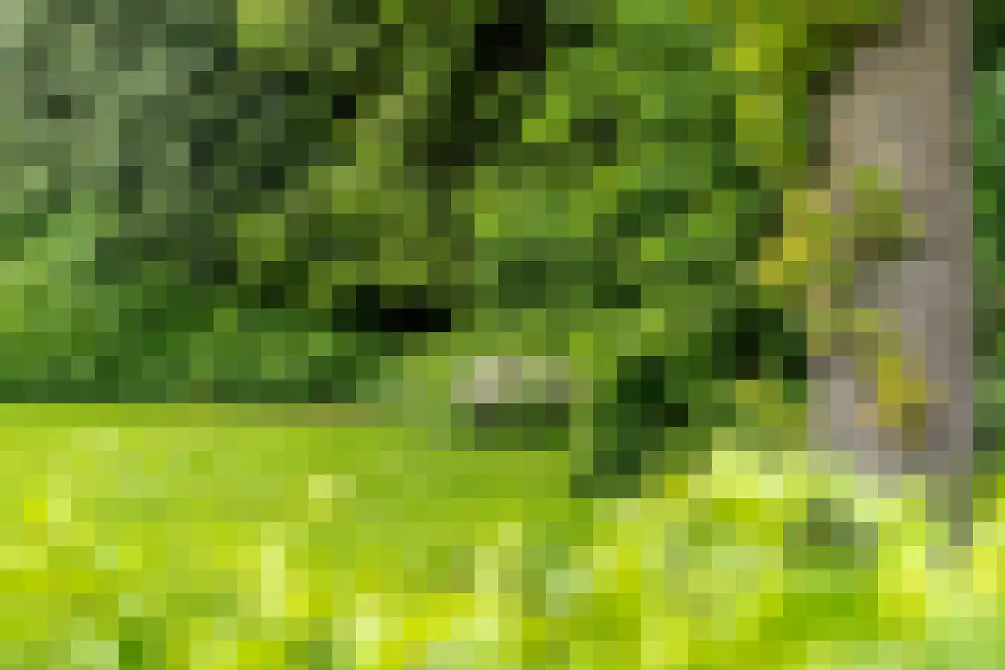 Vicarishove 27 Leusden thumbnail 23