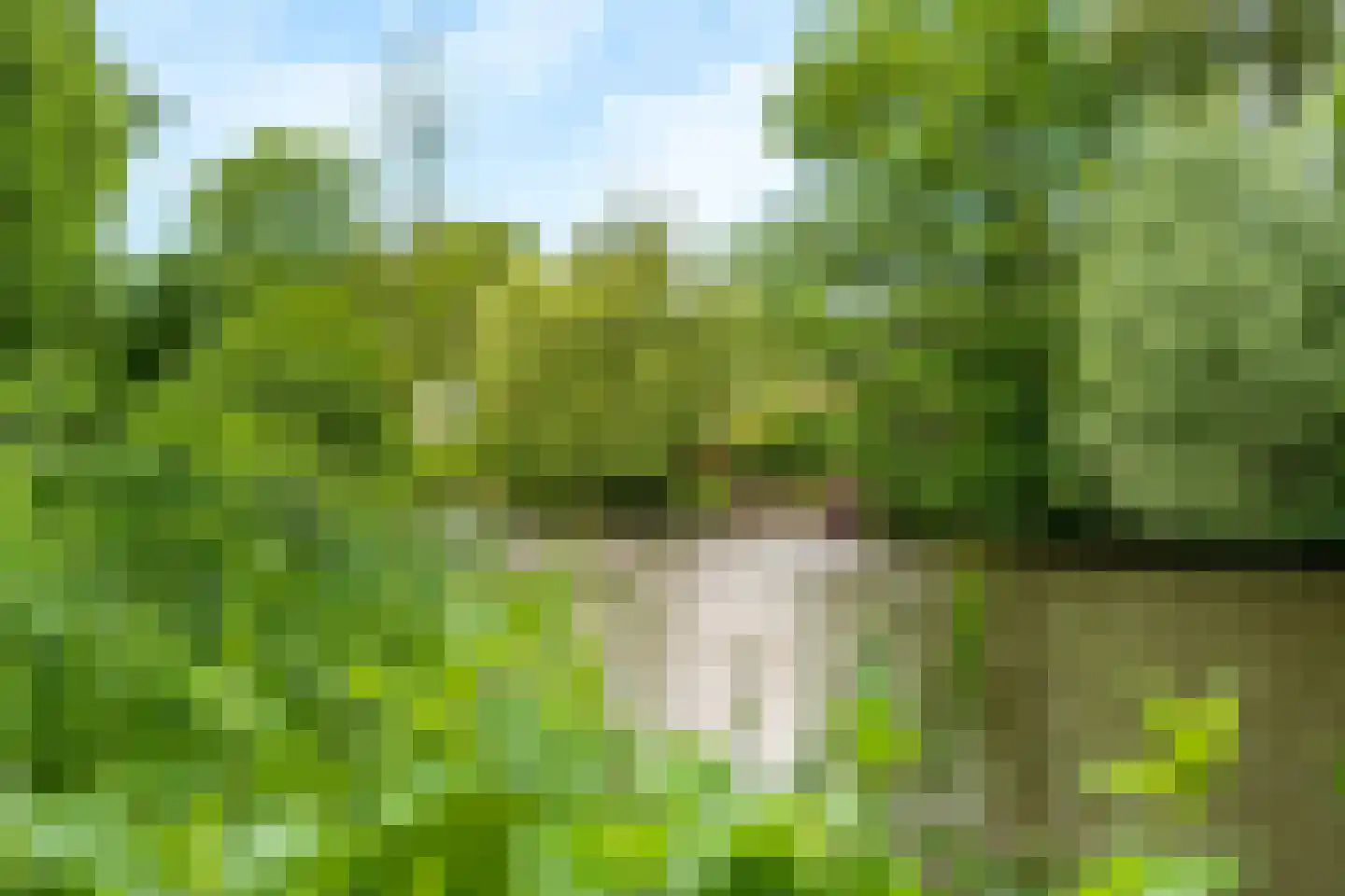 Vicarishove 27 Leusden thumbnail 24