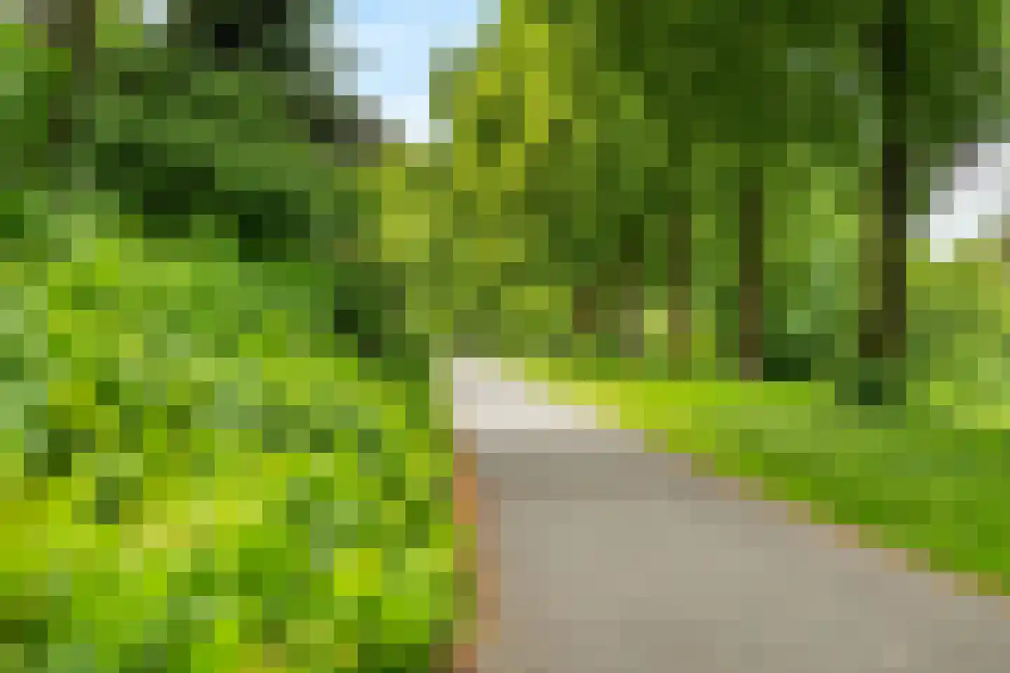 Vicarishove 27 Leusden thumbnail 25