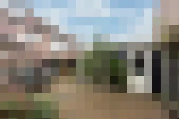 Vicarishove 41 Leusden thumbnail 18