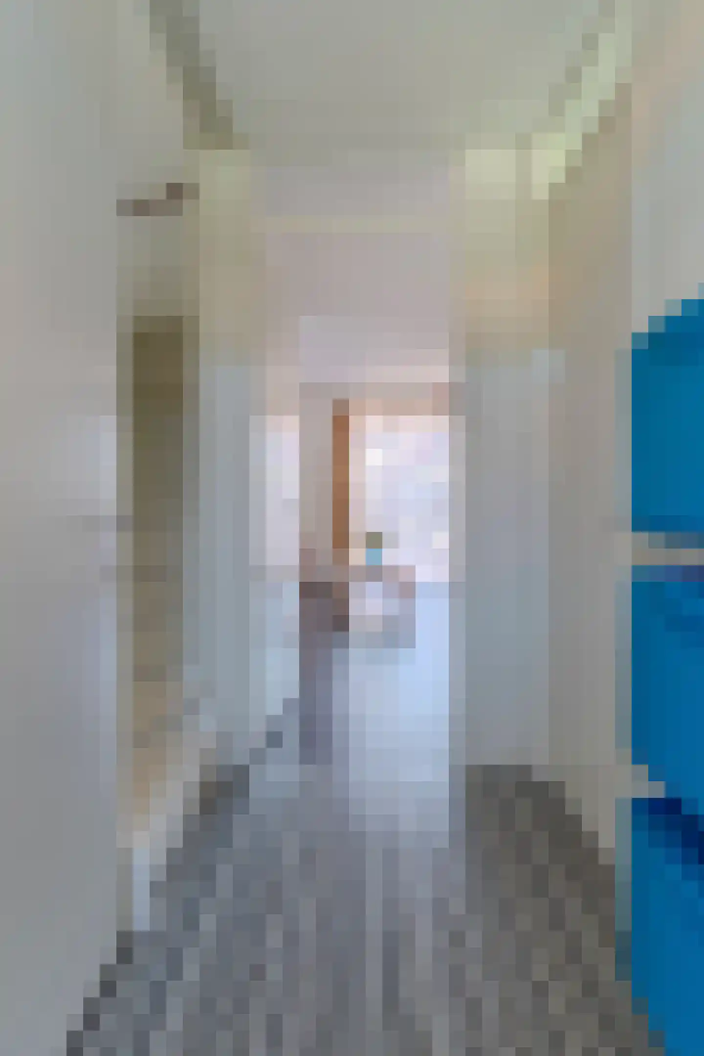 Vicarystraat 30 Culemborg thumbnail 5