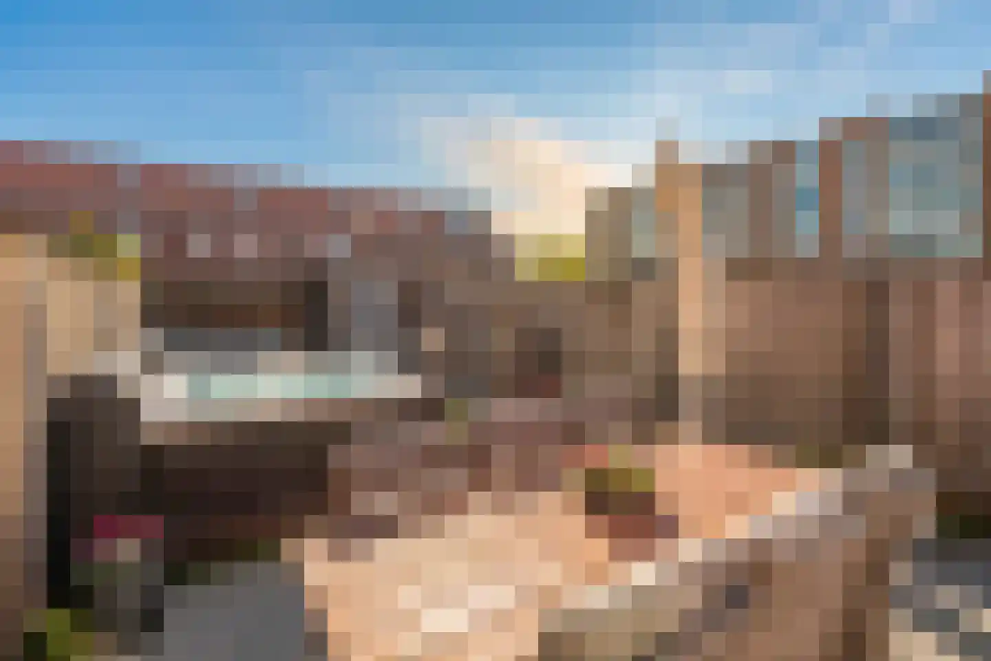 Vicarystraat 36 Culemborg thumbnail 6