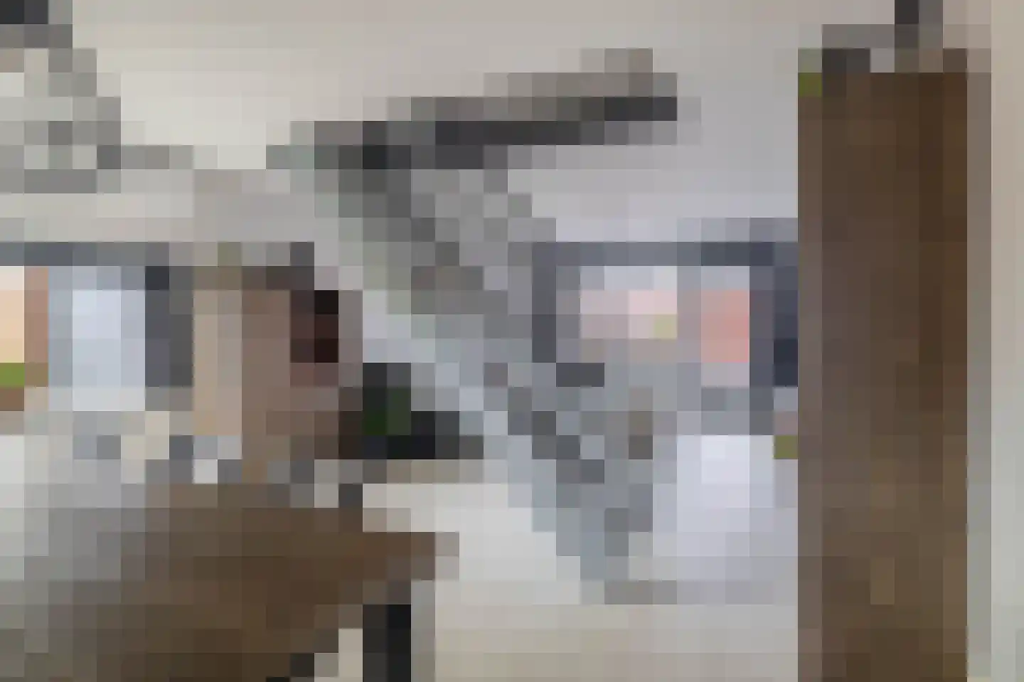 Vicky Baumstraat 1 Spijkenisse thumbnail 12