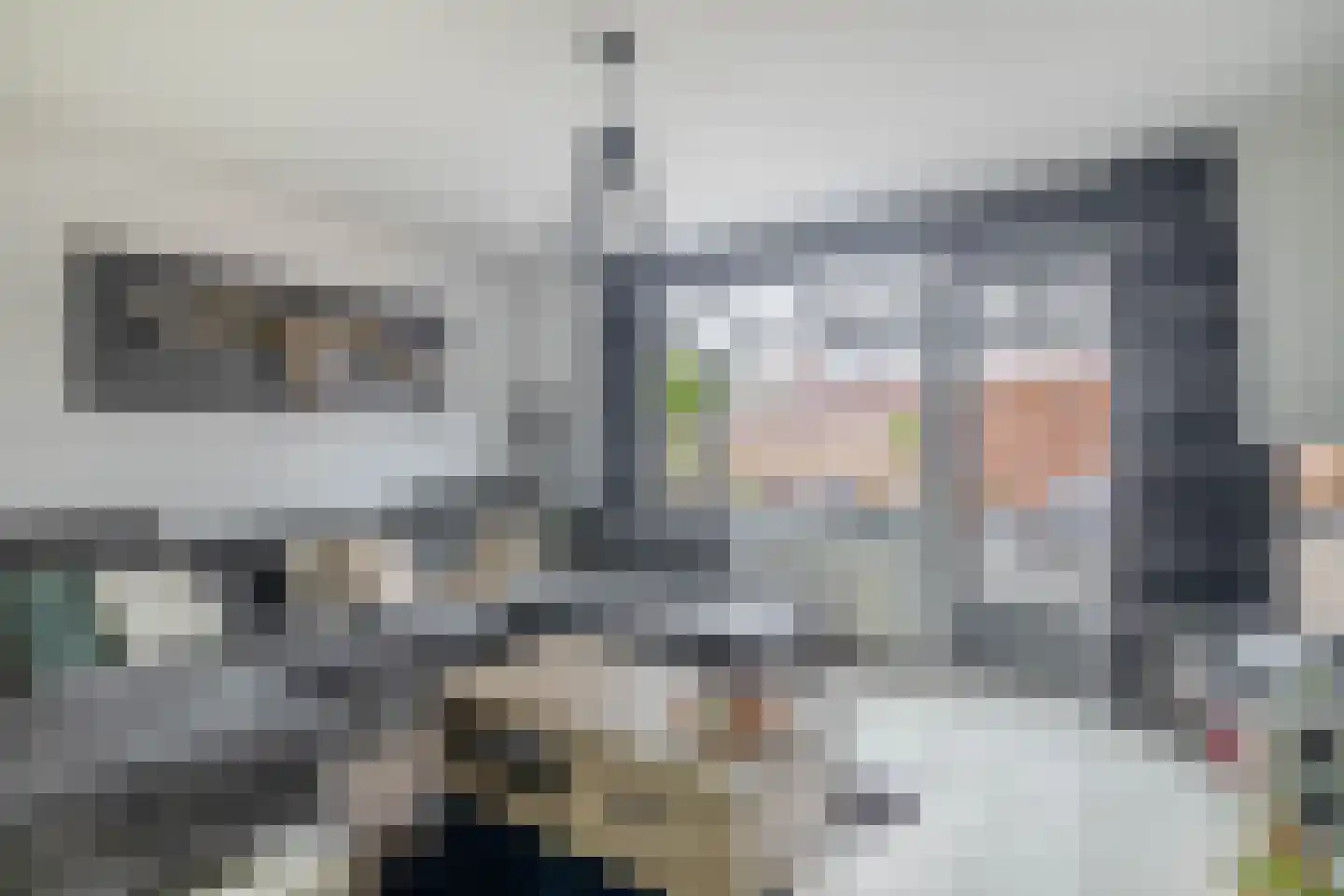 Vicky Baumstraat 1 Spijkenisse thumbnail 14