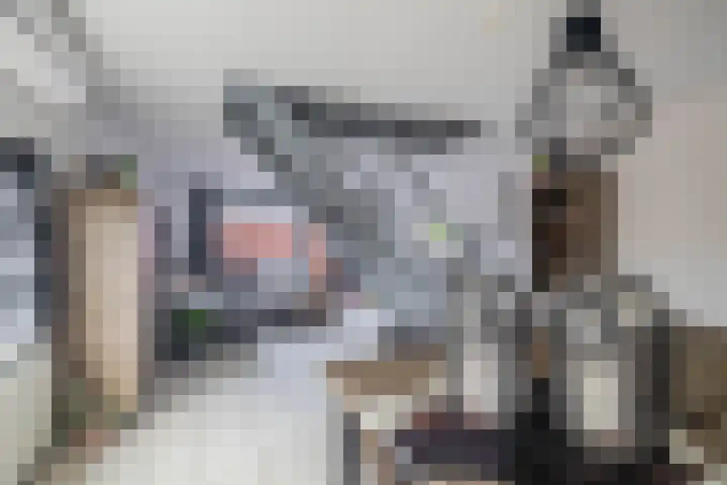 Vicky Baumstraat 1 Spijkenisse thumbnail 16