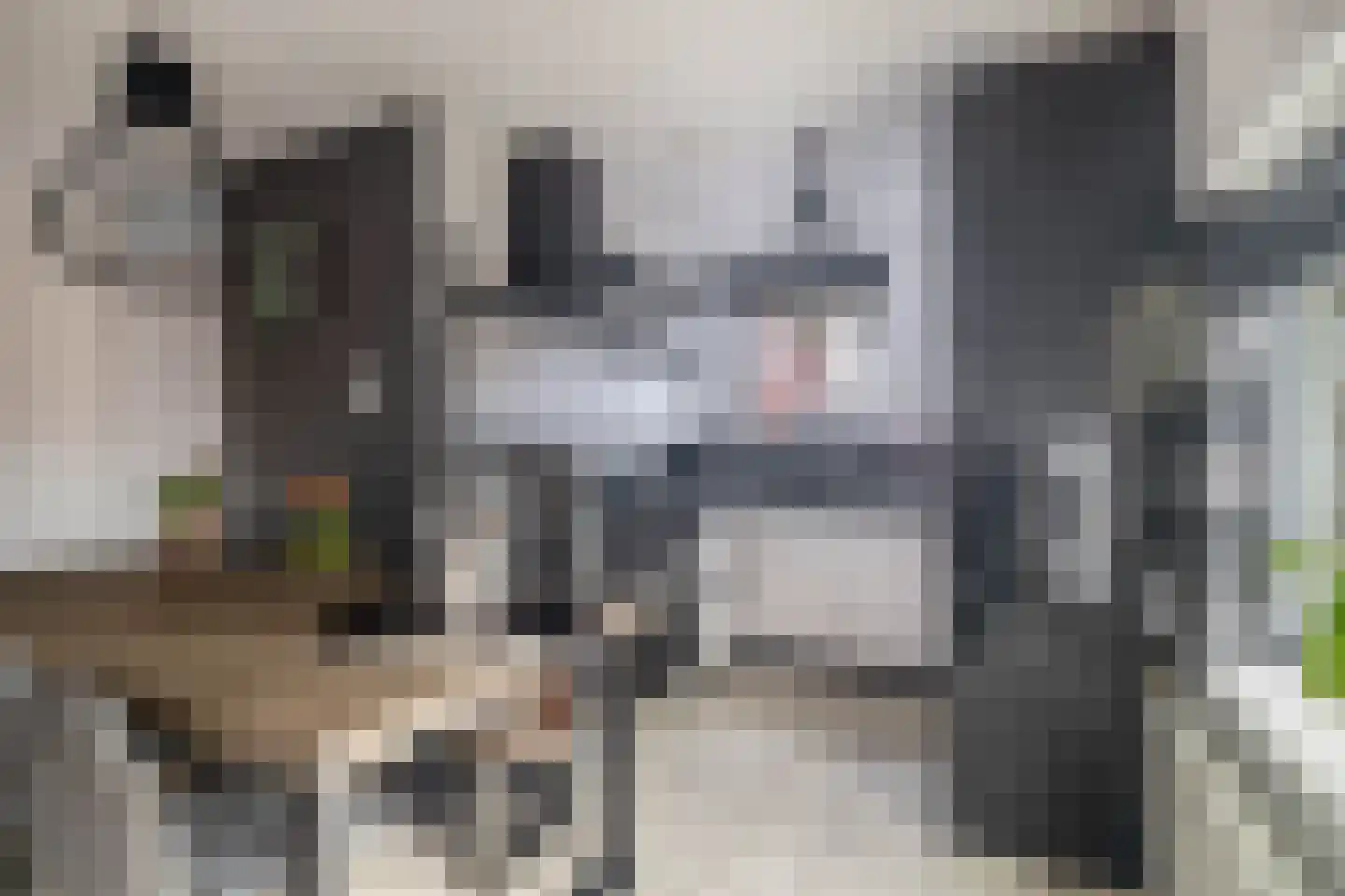 Vicky Baumstraat 1 Spijkenisse thumbnail 17