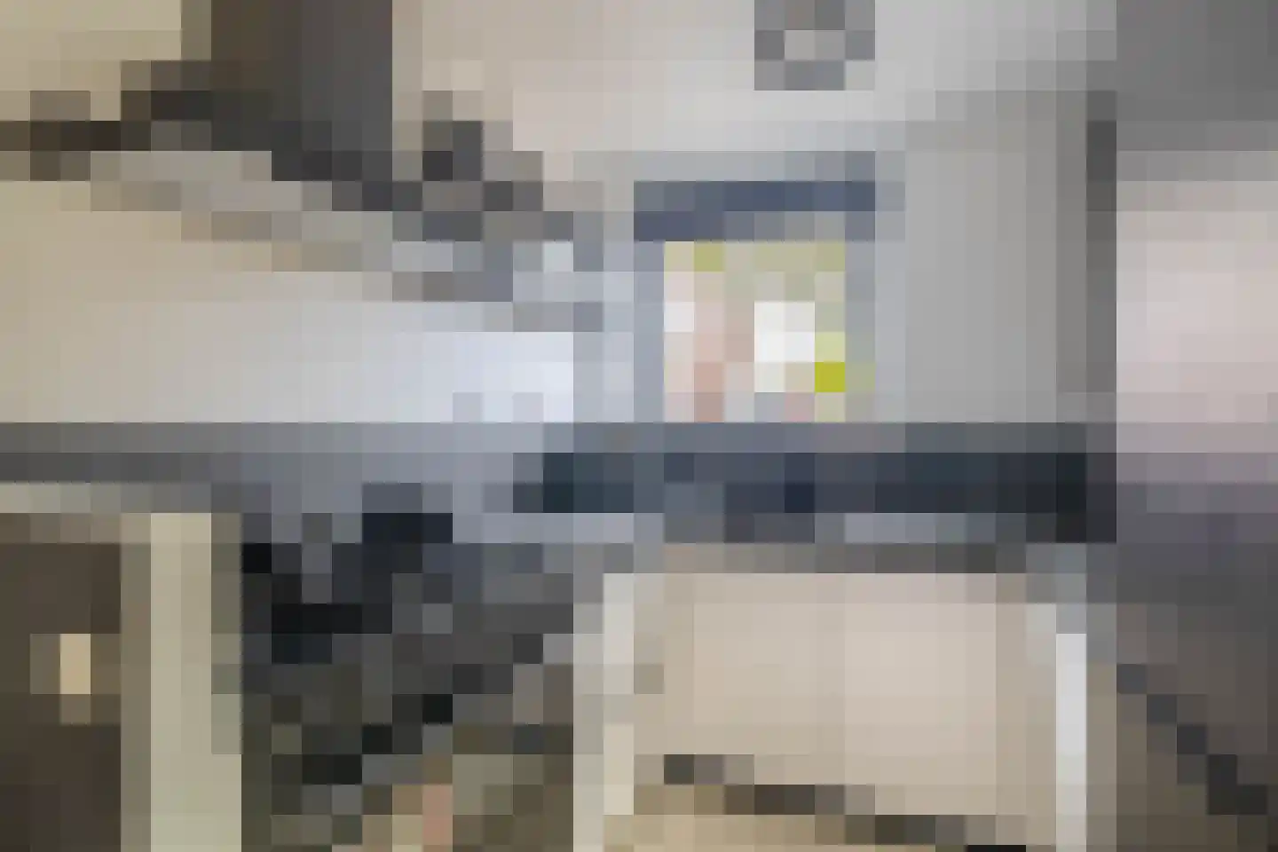 Vicky Baumstraat 1 Spijkenisse thumbnail 19
