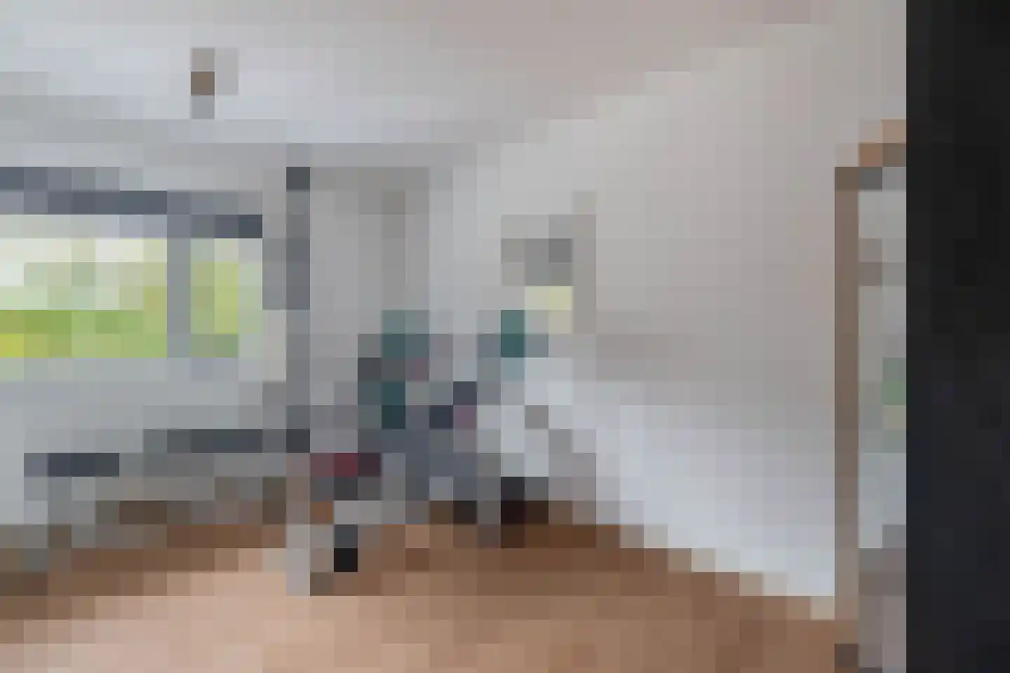 Vicky Baumstraat 1 Spijkenisse thumbnail 30