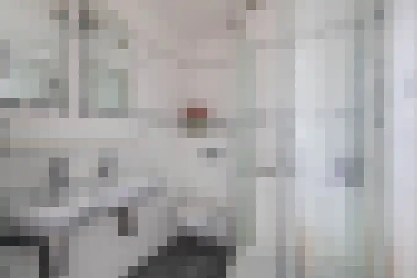 Vicky Baumstraat 1 Spijkenisse thumbnail 32