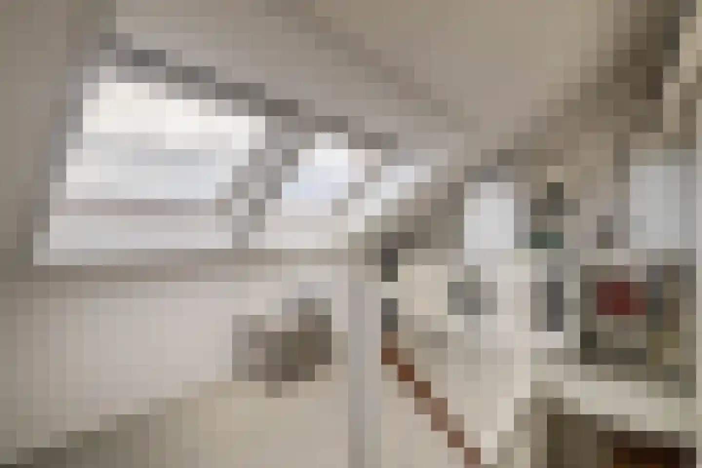 Vicky Baumstraat 1 Spijkenisse thumbnail 37