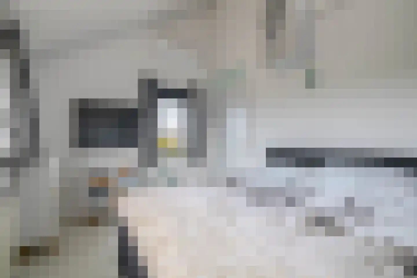 Vicky Baumstraat 1 Spijkenisse thumbnail 40