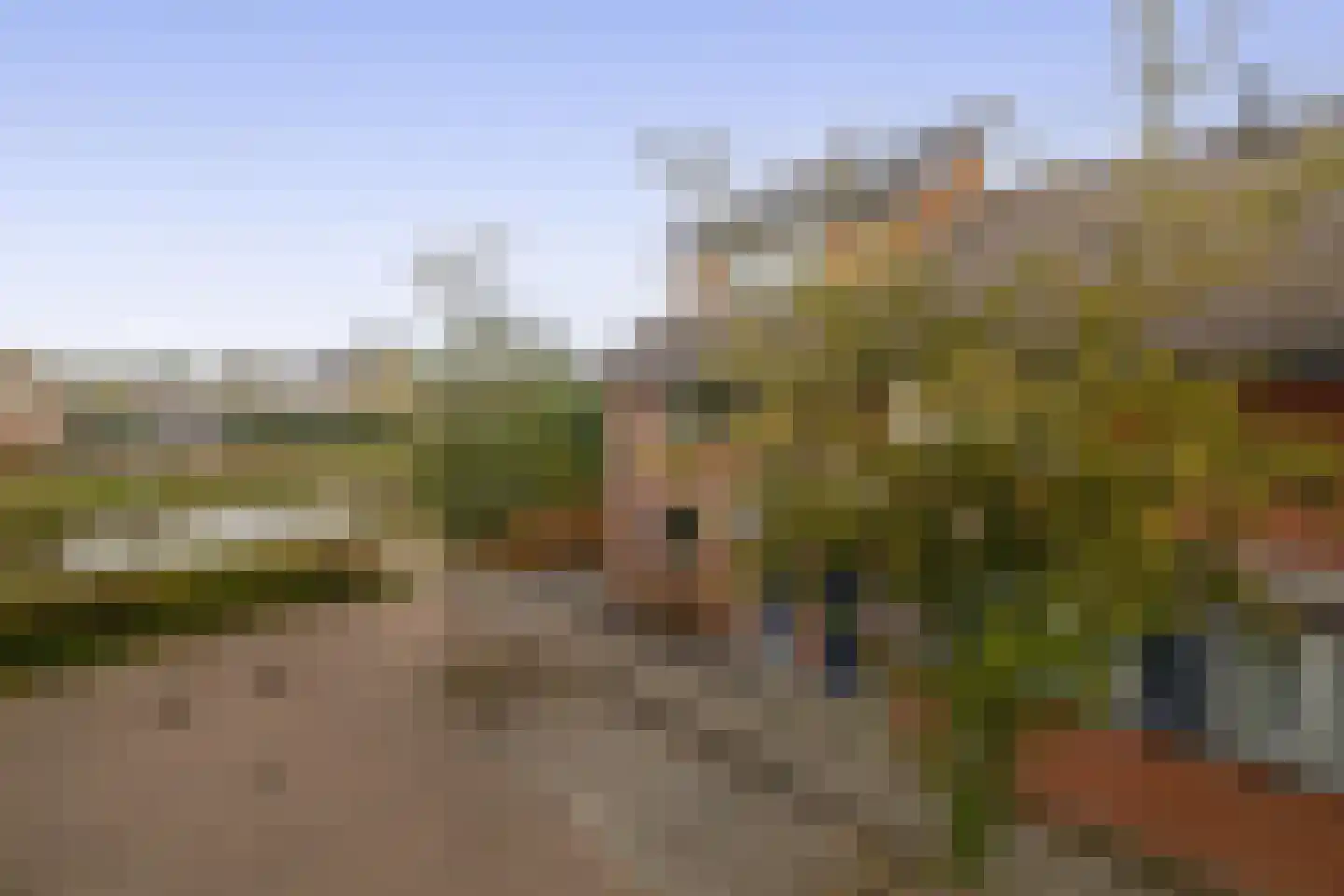 Vicky Baumstraat 1 Spijkenisse thumbnail 9