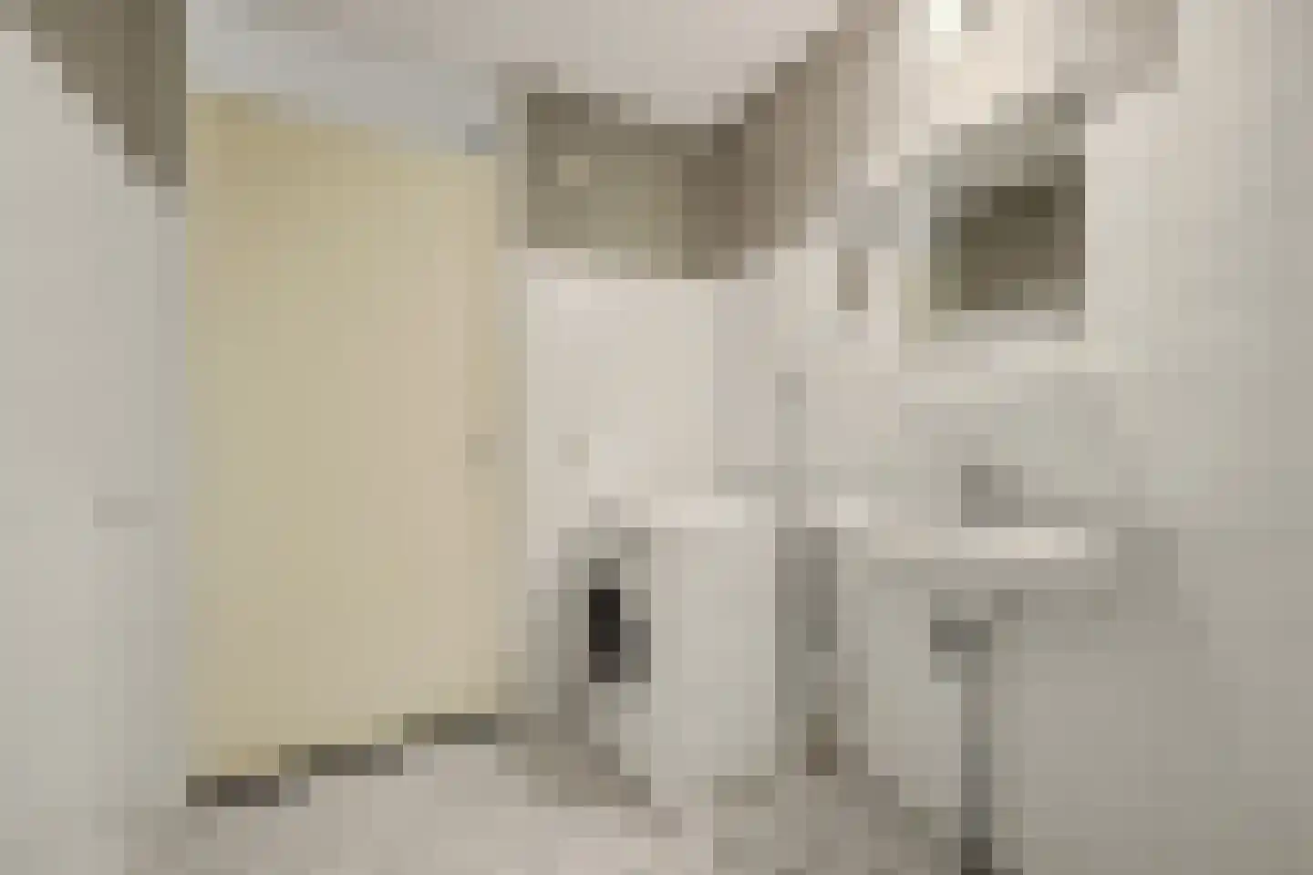 Vicky Baumstraat 6 Spijkenisse thumbnail 13