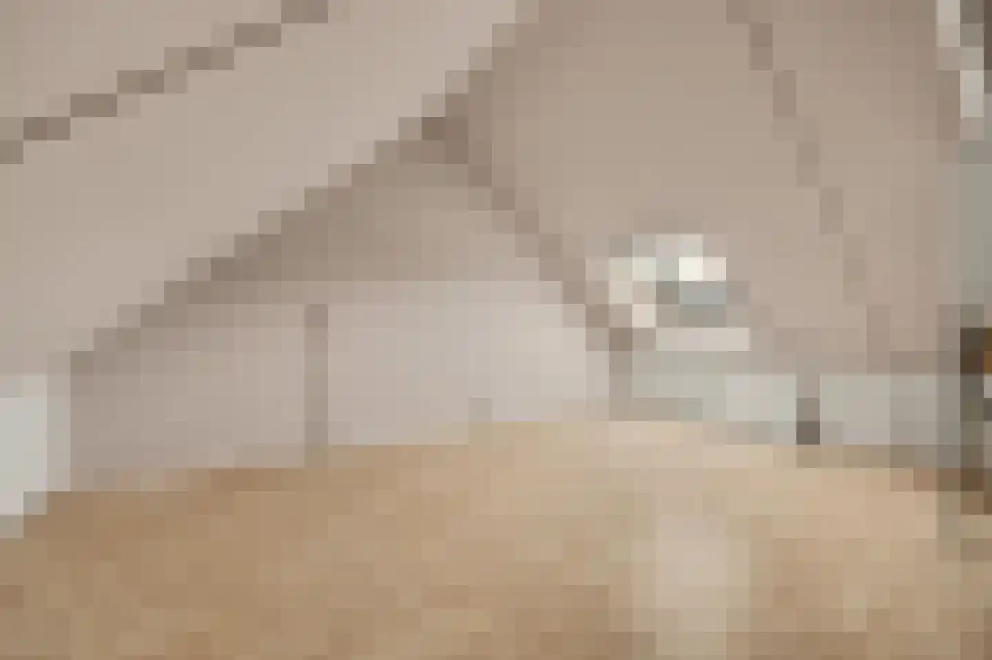 Vicky Baumstraat 6 Spijkenisse thumbnail 17