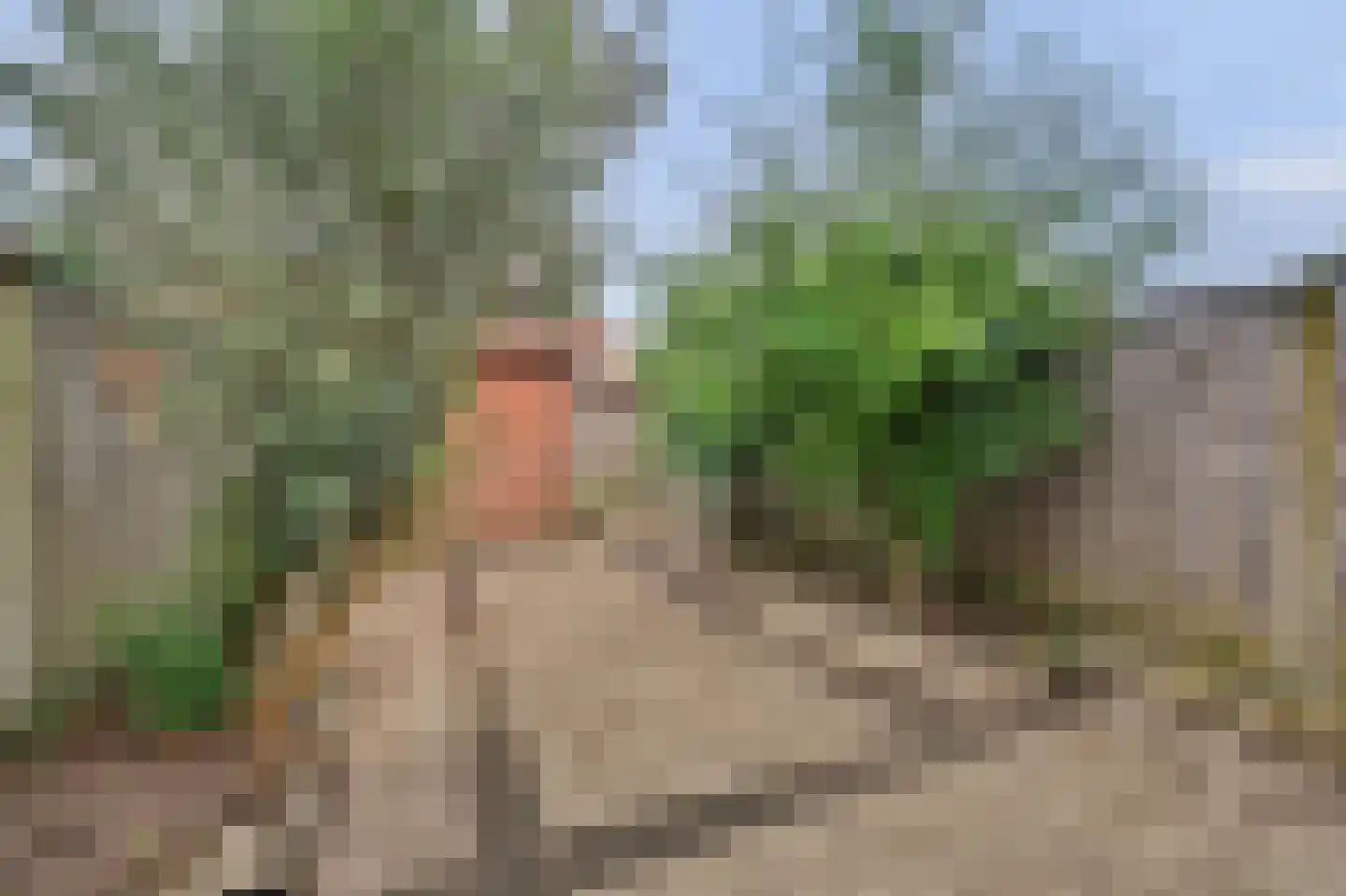 Vicky Baumstraat 6 Spijkenisse thumbnail 18