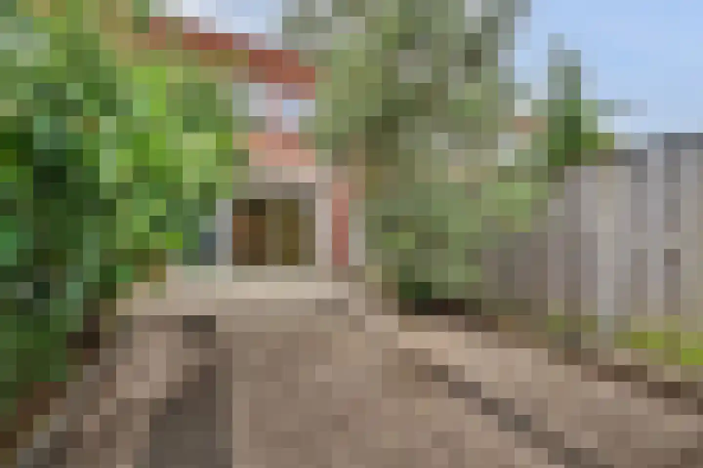 Vicky Baumstraat 6 Spijkenisse thumbnail 19