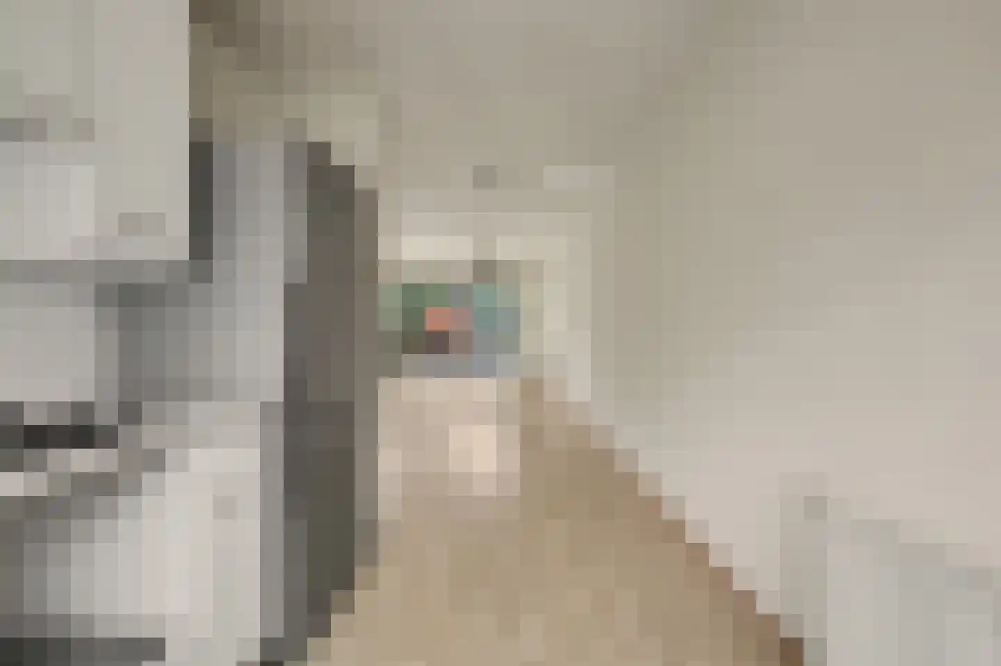 Vicky Baumstraat 6 Spijkenisse thumbnail 8