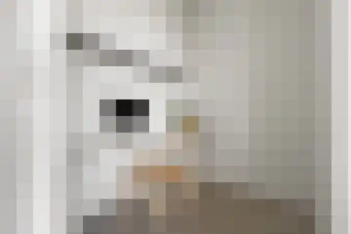 Victor Beermannhof 11 Lent thumbnail 11