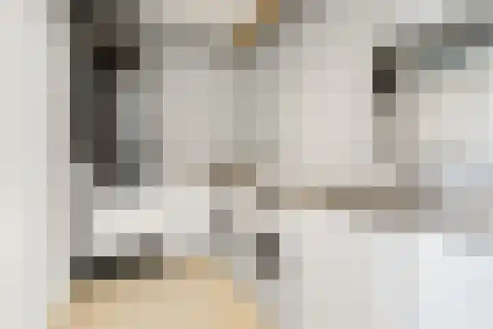 Victor Beermannhof 11 Lent thumbnail 14