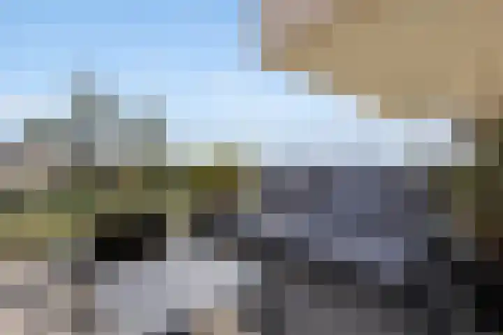 Victor Beermannhof 11 Lent thumbnail 25
