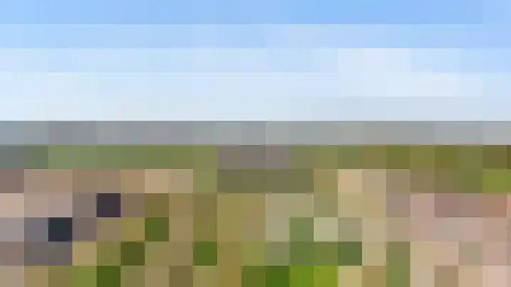 Victor Beermannhof 11 Lent thumbnail 37