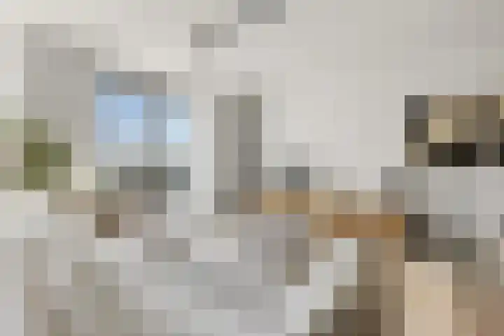 Victor Beermannhof 11 Lent thumbnail 4