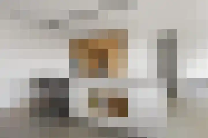 Victor Beermannhof 11 Lent thumbnail 7