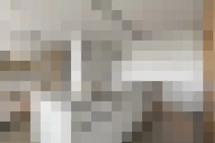 Victor Beermannhof 11 Lent thumbnail 8