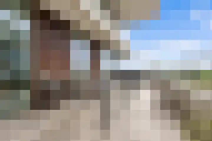 Victor Beermannhof 14 Lent thumbnail 11
