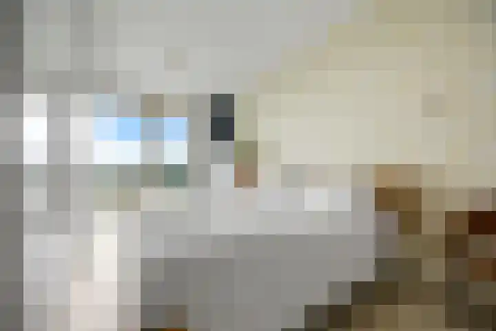 Victor Beermannhof 14 Lent thumbnail 20